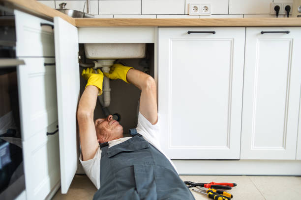 Best Clogged Drain Plumber  in Perryville, MD
